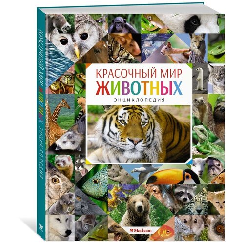 Махаон Энциклопедия «Красочный мир животных»