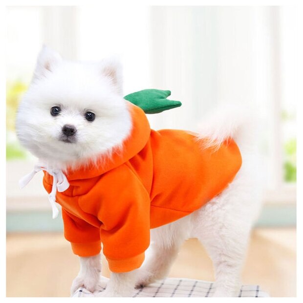 Кофта-толстовка для собаки «Wonderful style-Морковка» с капюшоном, размер M (44*30*26см) Ultramarine - фотография № 7