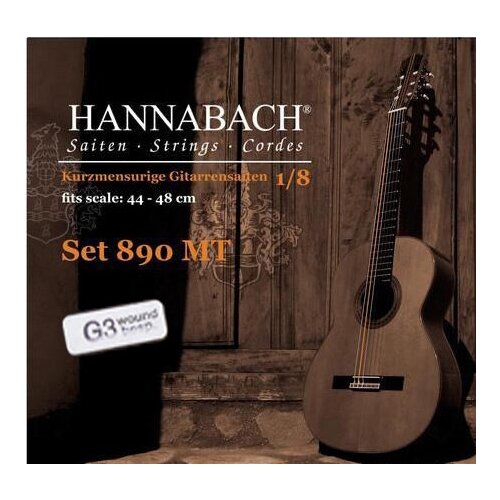 Комплект струн для классической гитары Hannabach E890MTGW18