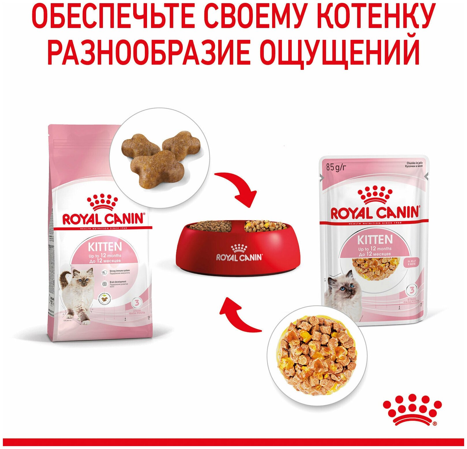 Royal Canin Kitten влажный корм для котят от 4 до 12 месяцев кусочки в желе, 85 г - фото №18