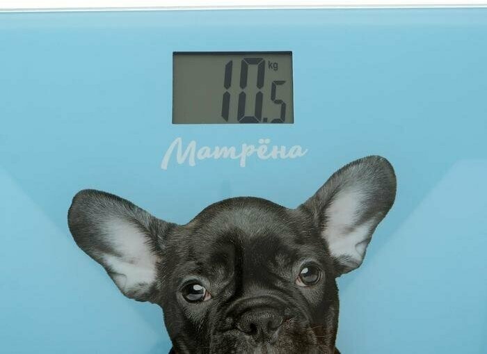 Весы напольные "матрена" МА-090, электронные, до 180 кг, рисунок "собака" - фотография № 3