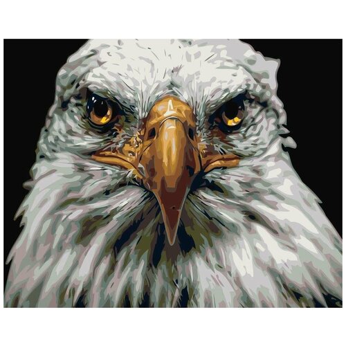 Картина по номерам Орел, 40x50 см картина по номерам орел на дереве 40x50 см