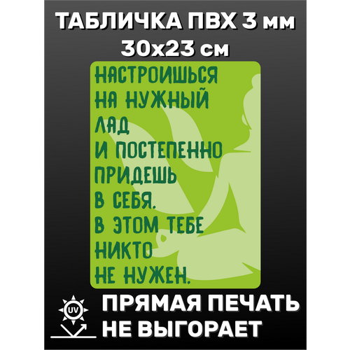 табличка информационная гомер 30х23 см Табличка информационная Настройся! 30х23 см