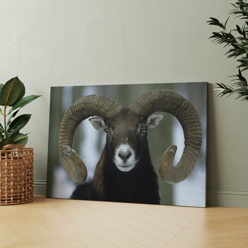 Картина на холсте Баран с большими рогами стоит на снегу 30x40 см Интерьерная на стену 1045₽