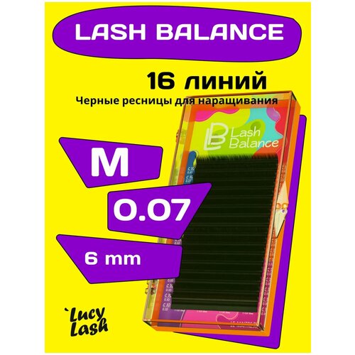 Le Maitre ресницы Lash Balance M 007 6 мм 373₽