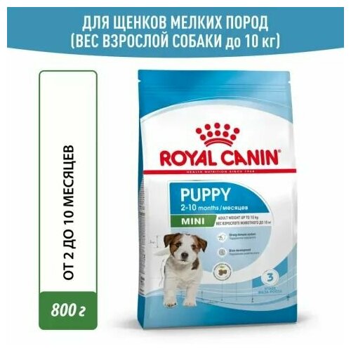 Royal Canin Mini Puppy Сухой корм для щенков мелких пород в возрасте от 2 до 10 месяцев, 800г
