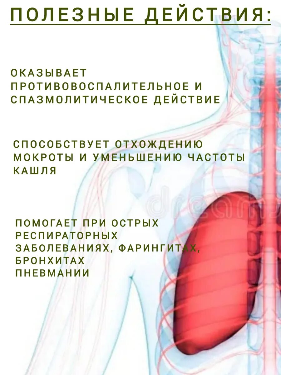 Картинки Травяной сбор Алфит 11 Лёгочный