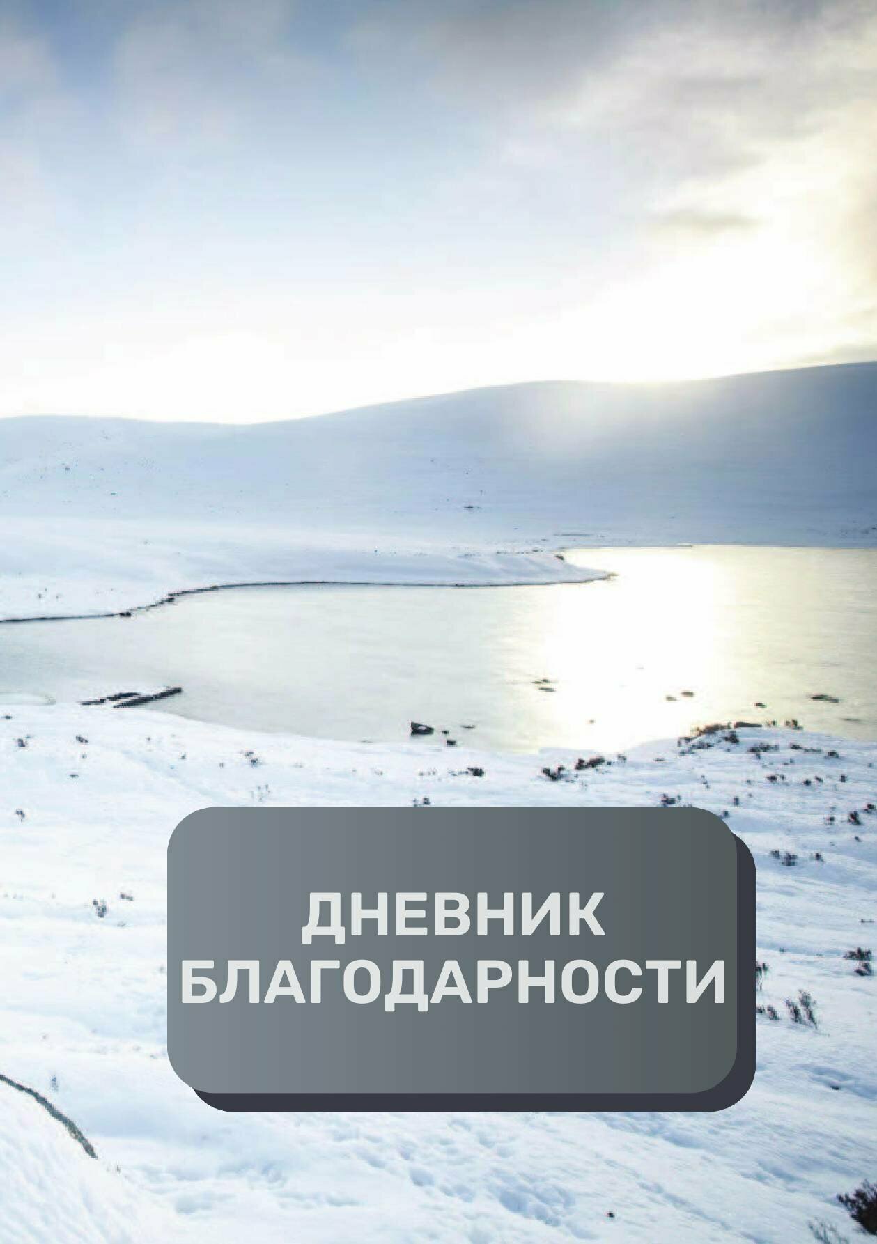 Дневник благодарности, премиум (подарочное) издание, 40 страниц