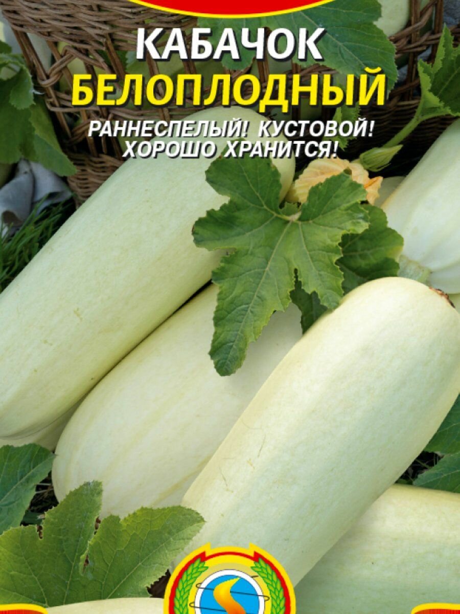 Семена Кабачок Белоплодный 11 шт Плазменные семена