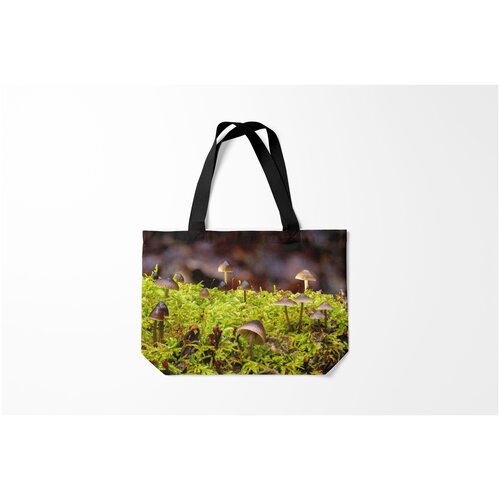 фото Сумка-шоппер / 46х35 см / популярные иллюстрации / природа мох burnettie