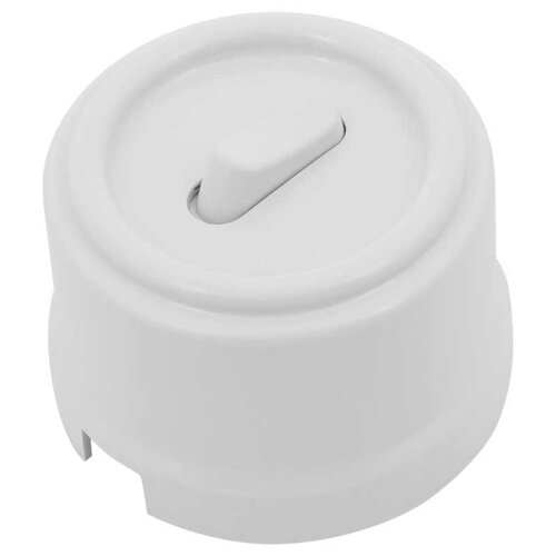 Выключатель Bironi B1-220-21 Лизетта, 10 А