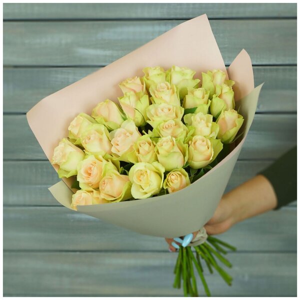 Яндекс маркет цветы купить доставка цветов екатеринбурге малина 66