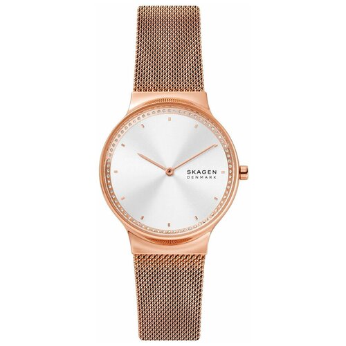 Наручные часы Skagen SKW3020