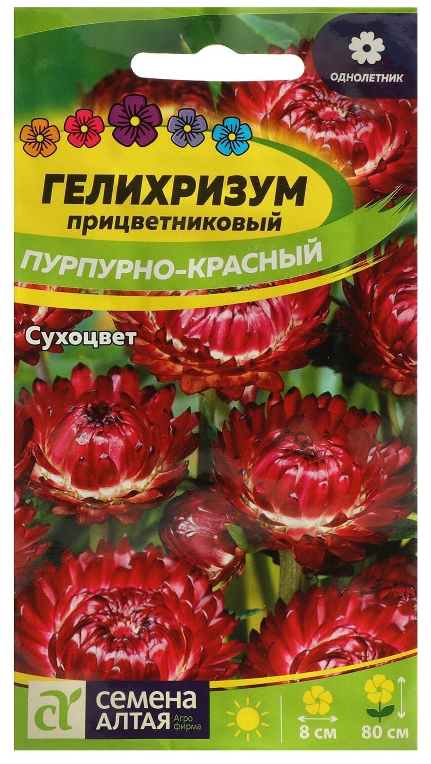 Семена цветов Гелихризум "Пурпурно-красный" Сем. Алт ц/п 02 г