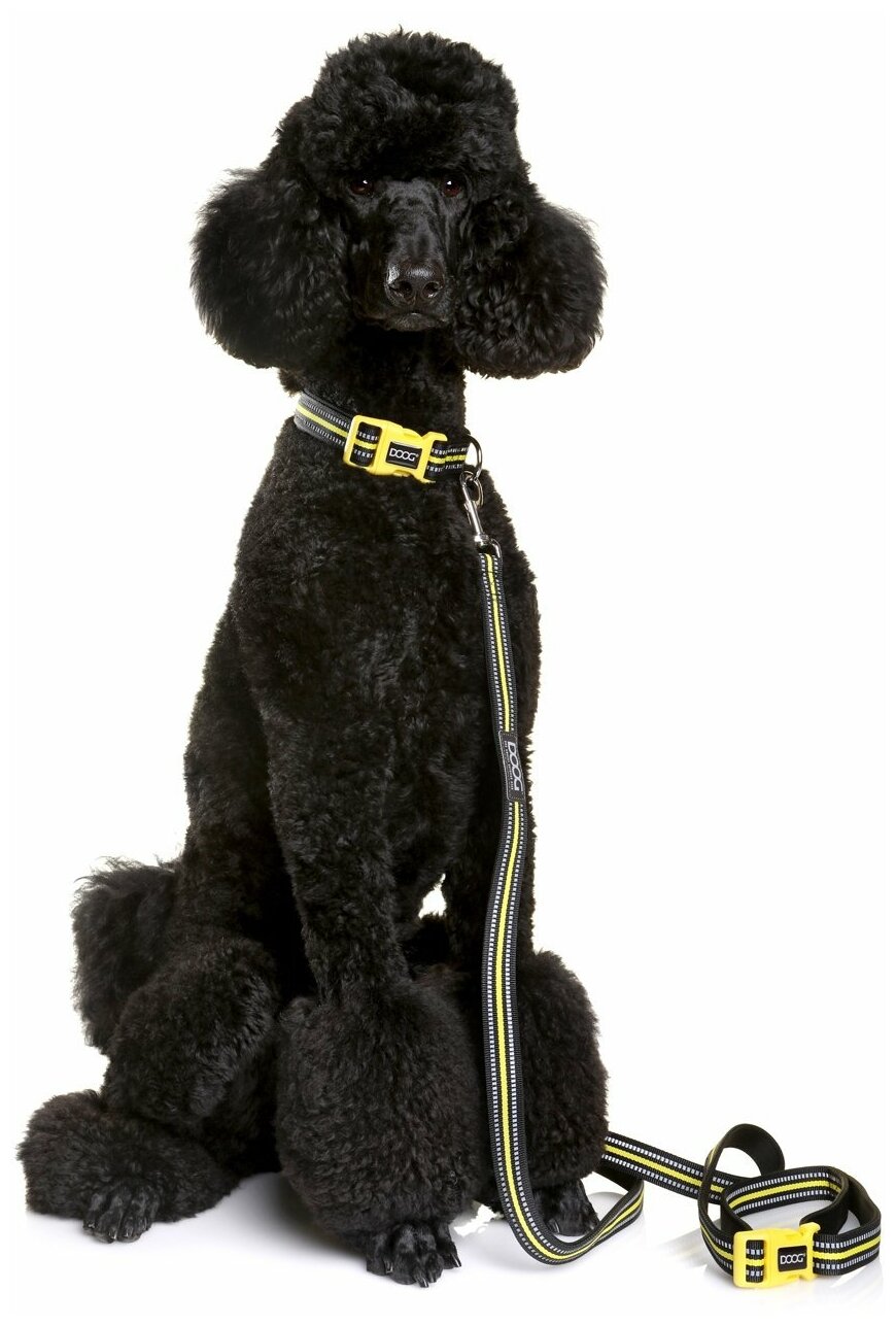 Ошейник для собак DOOG "NEON BOLT", чёрно-жёлтый, M, 32-46см (Австралия)