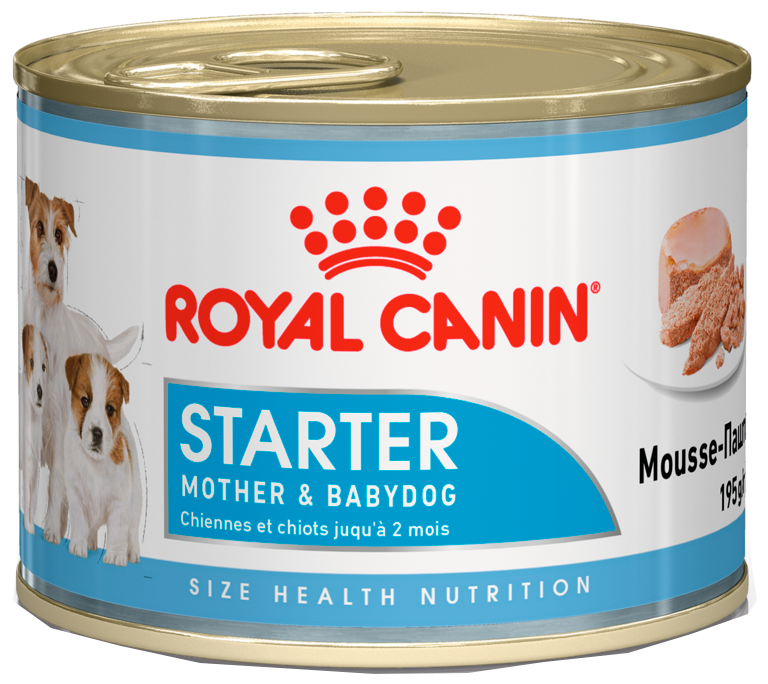 Влажный корм для кормящих собак и щенков Royal Canin Starter Mousse