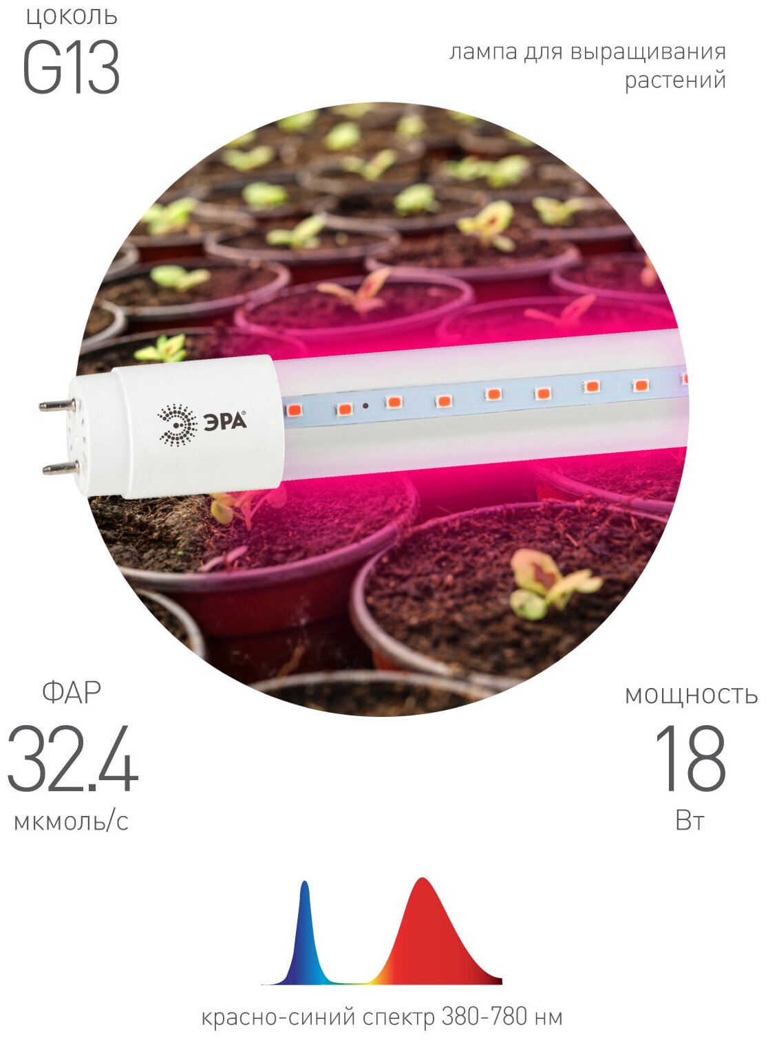 Фитолампа для растений т8 18 Вт g13 красный-синий - фотография № 4