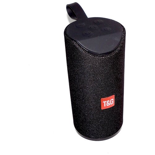 Беспроводная колонка T G TG-113 90000₽