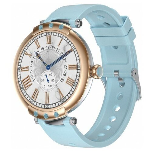 BandRate Smart BRSFR98GBL 799200₽