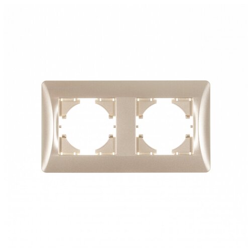С1120-027 GUSI Ugra рамка 2-местная, цвет шампань.