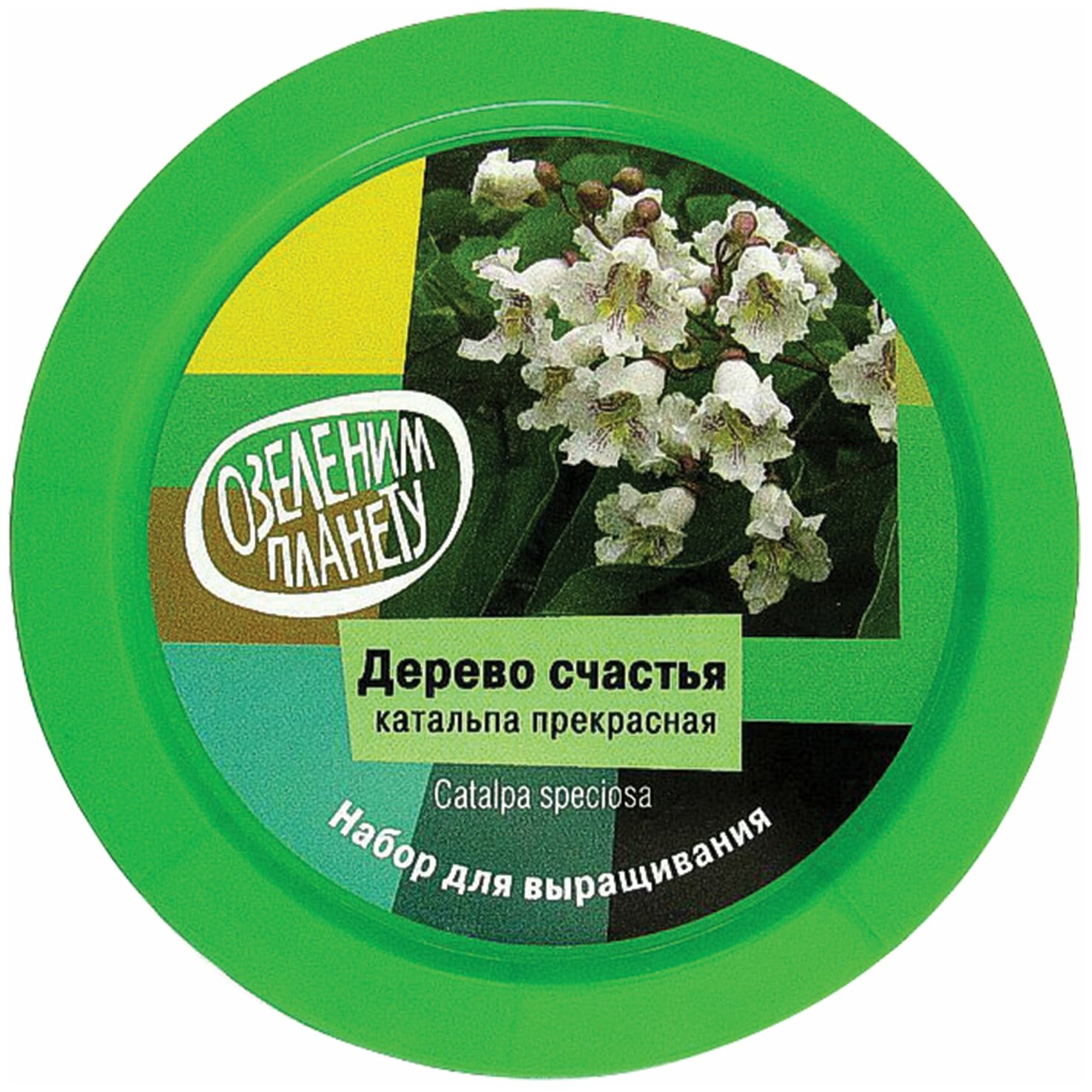 Набор, Вырасти дерево! Дерево счастья катальпа - фото №15