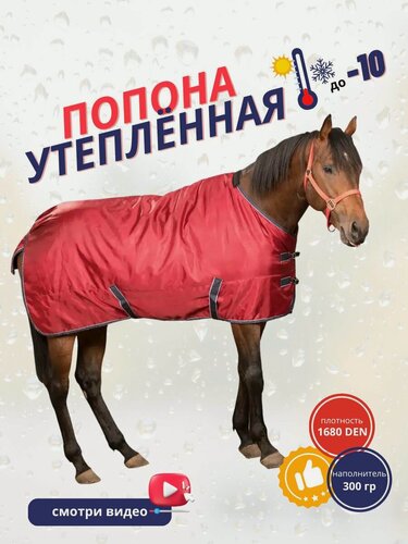 Изображение товара Sweethorse / Попона для лошади утеплённая, красная, размер 115
