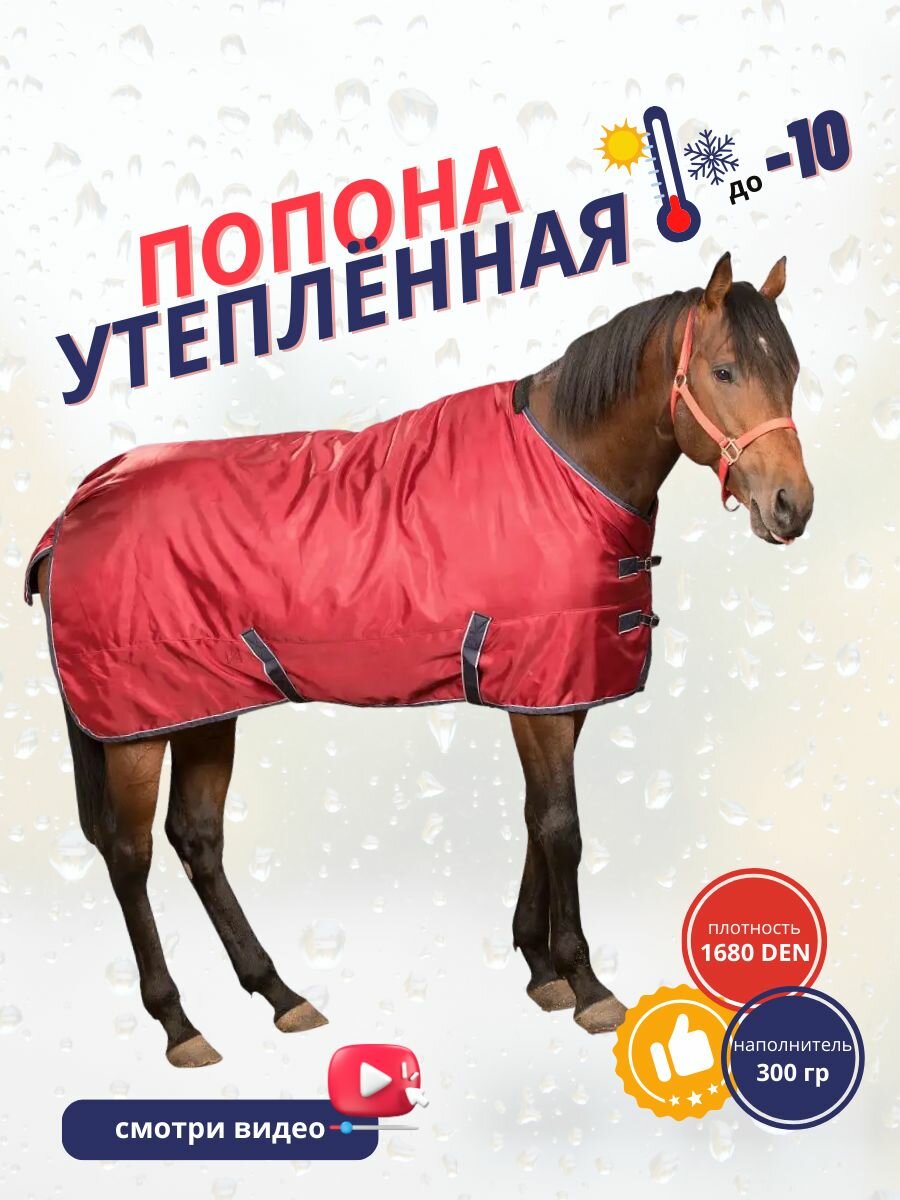 Утепленная демисезонная попона для лошади Sweet Horse, красная 145