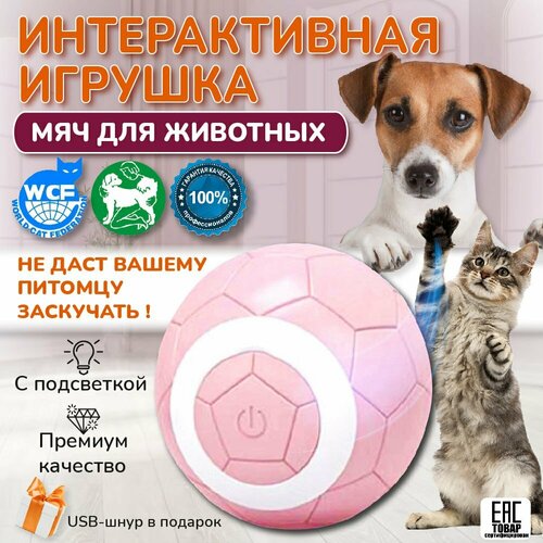 Мяч игрушка интерактивная для котят, игрушка для собак и кошек