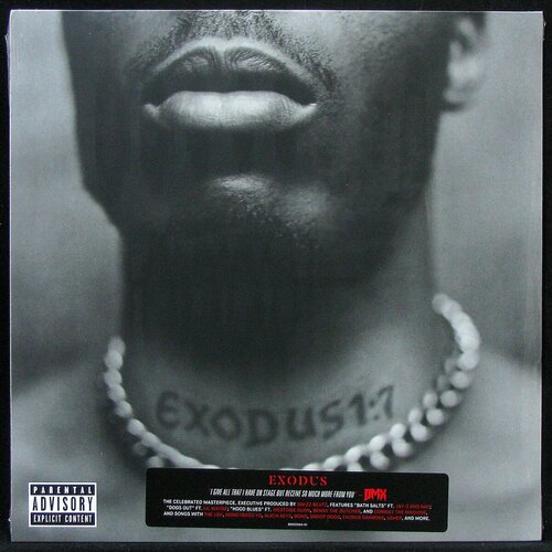 Виниловая пластинка Def Jam DMX – Exodus