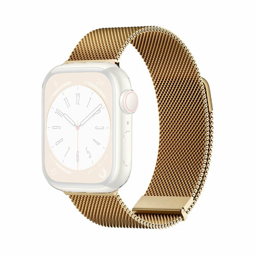 Стальной ремешок для Apple Watch 42/44/45/49 мм (1-9/SE/Ultra), WiWU Braid Magnetic, Золотистый