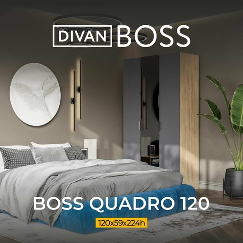Распашной шкаф для одежды с зеркалом BOSS QUADRO 120, 3-дверный, цвет Дуб Денвер Трюфель, Графит софт, 120x59x224 см