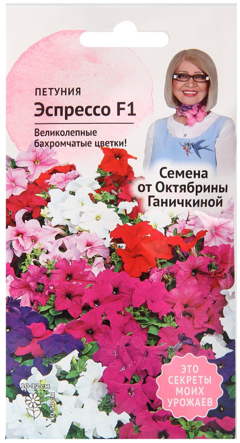 Петуния Эспрессо 10 шт / семена однолетних цветов для сада / однолетние цветы в грунт /