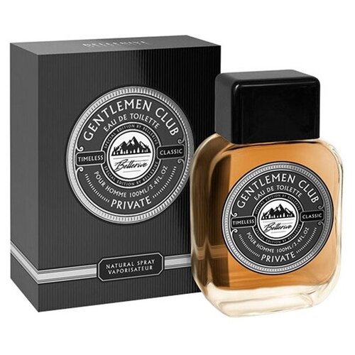 Art Parfum туалетная вода Gentlemen Club Private, 100 мл, 260 г art parfum gentlemen club privat men 100 ml edt