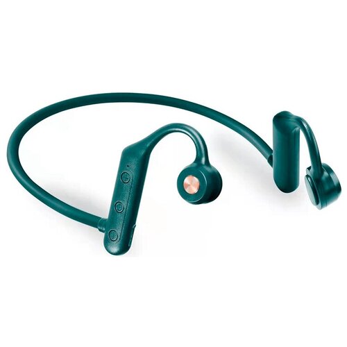 BandRate Smart BRSTWSK79GNGN 165800₽