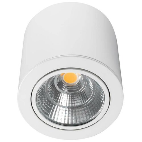 Arlight Светильник SP-FOCUS-R140-30W Day White (Arlight, IP20 Металл) 021428