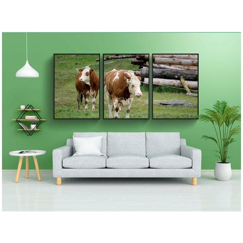 фото Набор модулных постеров для интерьера "корова, крупный рогатый скот, домашний скот" 60x90 см. в тубусе, без рамки lotsprints