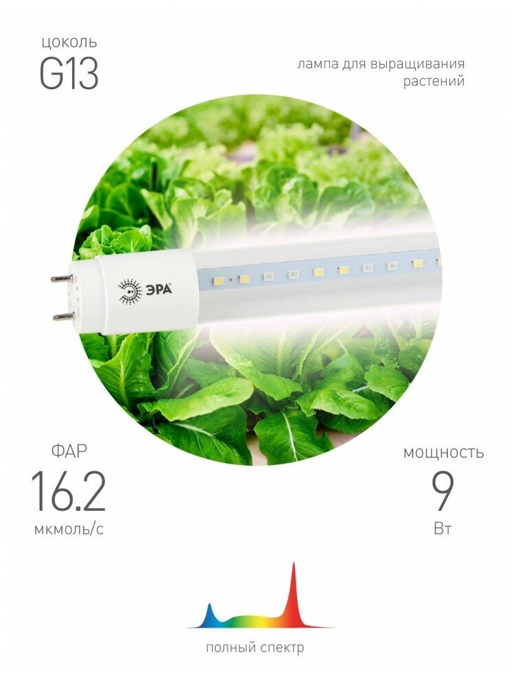 Фитолампа Для Растений Светодиодная Эра Fito-9w-Ra90-Т8-G13-Nl Полного Спектра 9 Вт Т8 G13 Era Б0042988 ЭРА арт. Б0042988 - фотография № 17