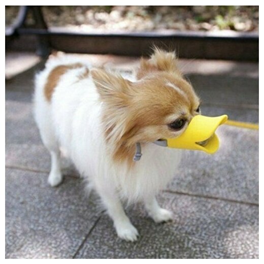 Силиконовый намордник - утка для собак, намордник для мелких и средник собак, желтый, размер L - фотография № 11