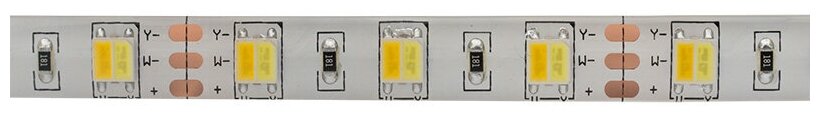 LED лента White Mix, 12 В, 12 мм, IP65, SMD 5050, 60 LED/m, цвет свечения белый (6000 К) + цвет свечения теплый белый (3000 К) - фотография № 5