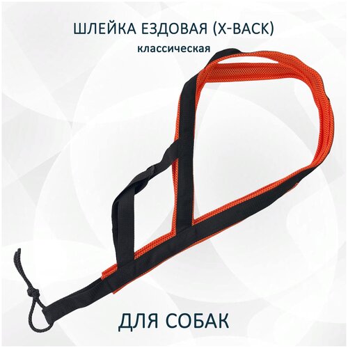 Шлейка ездовая для собак X-Back, классическая 