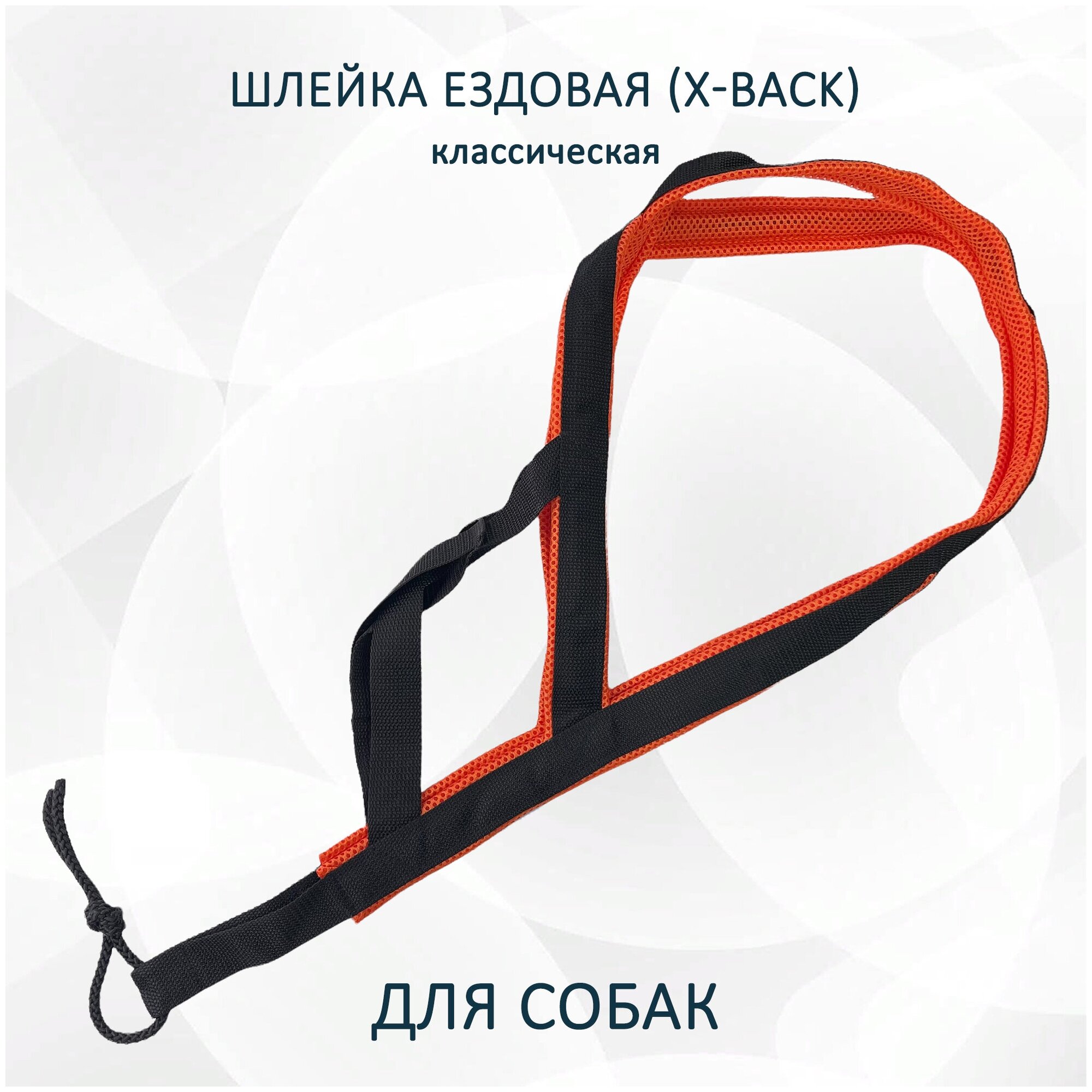 Шлейка ездовая totemica для собак X-Back, классическая "Чёрно-оранжевая" XL