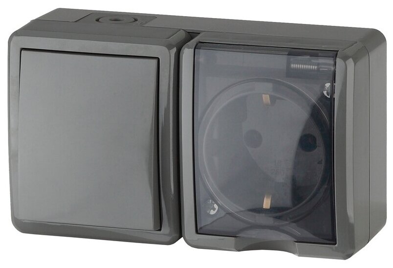 ЭРА 11-7401-03 Серый Блок розетка+выключатель IP54, 16A(10AX)-250В, ОУ, Эксперт