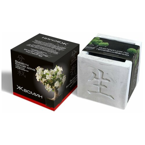 Растение ЭкоДом Вырасти Бонсай дома Жасмин В дизайнерском кубике ручной работы