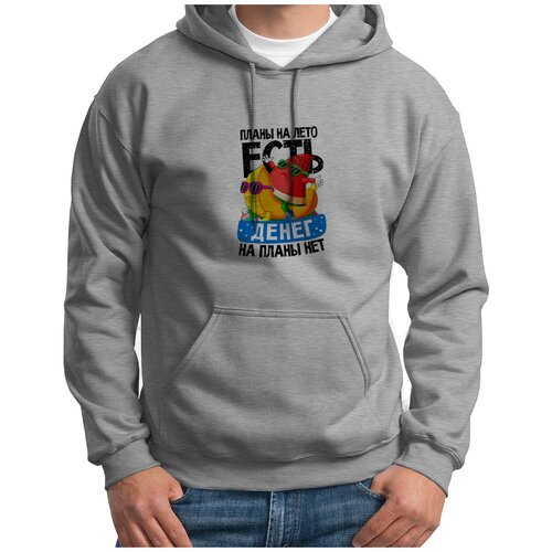 фото Толстовка худи серые coolpodarok р-р 44 прикол. планы на лето есть, денег на планы - нет