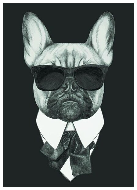 Постер на холсте Собака в очках 30см. x 42см.