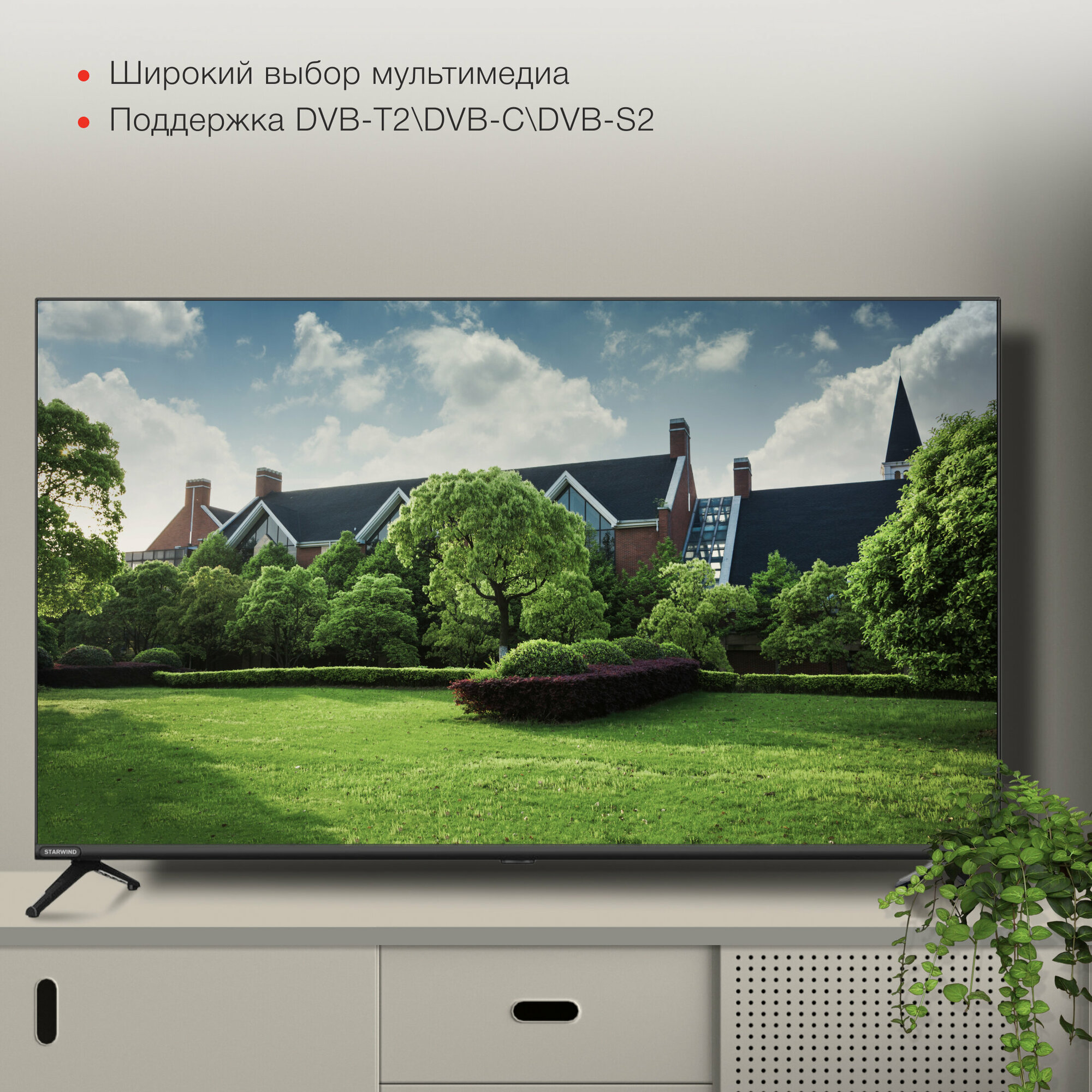 Телевизор Starwind Яндекс.ТВ SW-LED43SG300, 43", LED, FULL HD, Яндекс.ТВ, черный - фото №10