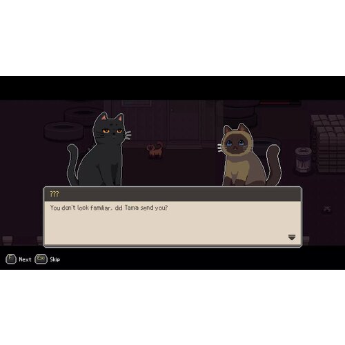 A Street Cat's Tale 2: Out side is dangerous (Steam; Mac/PC; Регион активации все страны)