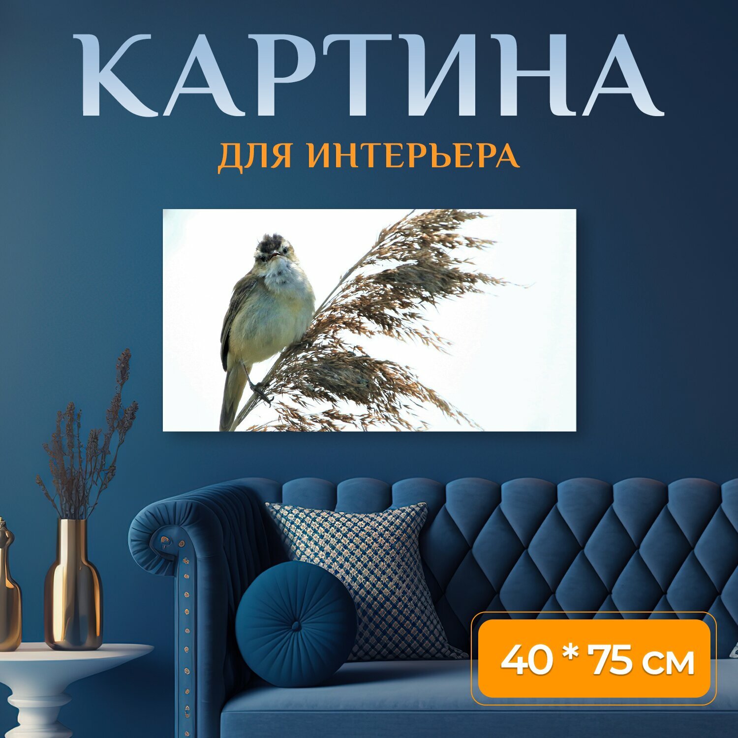 Картина на холсте "Воробей, домовый воробей, птица" на подрамнике 75х40 см. для интерьера