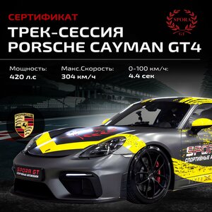 Сертификат на трек сессию на Porsche Cayman GT4