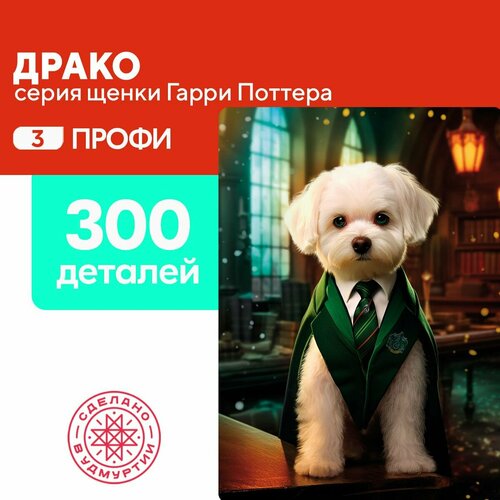 Пазл Драко 300 деталей Сложный